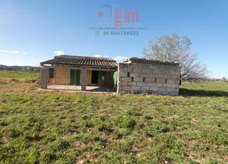 Residential Plot in Petra. Finca rústica edificable en petra.