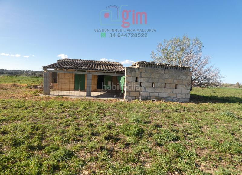 Foto 89805e2b-ad7a-4692-99c0-66d4d2620bcd. Terreny residencial a Petra