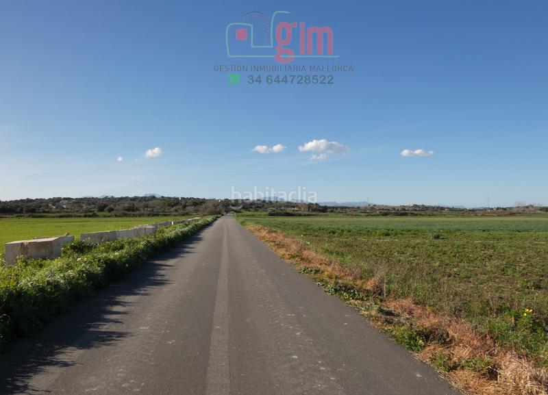 Foto a32105e2-3c18-4e38-9d7c-0deaeb8736f7. Terreny residencial a Petra