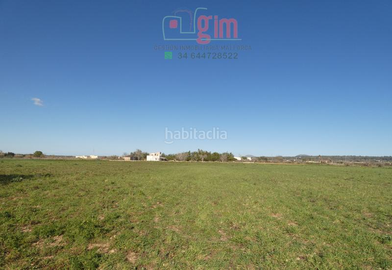 Foto b28113e4-5f3e-4113-b83d-8683708aa688. Terreny residencial a Petra