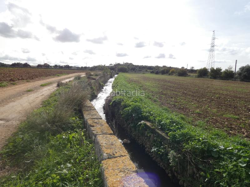 Foto 272e860b-fcd3-4f27-8fef-ef08f85c8bc5. Masia amb xemeneia a Manacor centre Manacor