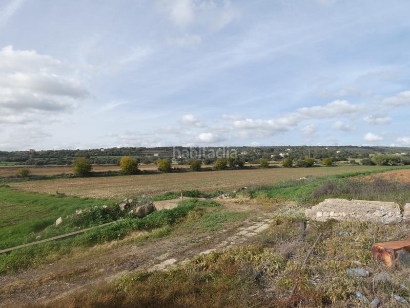 Foto 337570d2-cc5e-4e76-9000-31010c9482f2. Masia amb xemeneia a Manacor centre Manacor