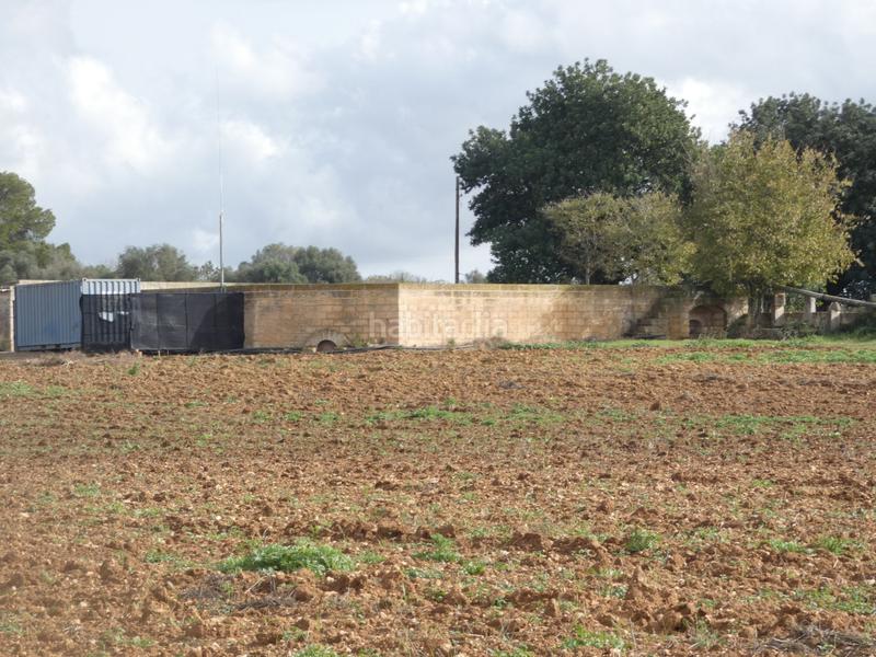 Foto 422e3199-b7d7-49c3-b019-9c937f84037f. Masia amb xemeneia a Manacor centre Manacor