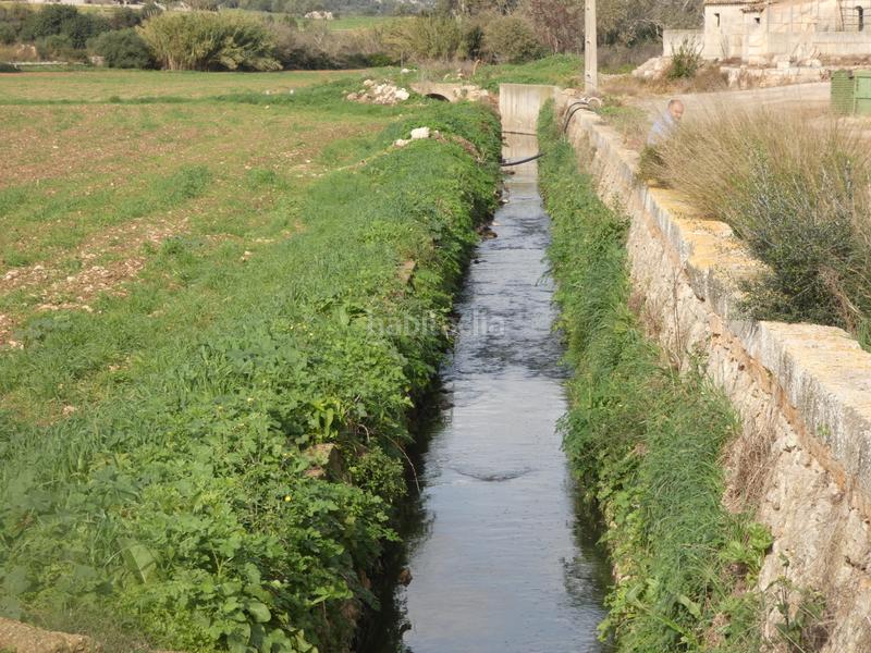 Foto 4e20dcfc-5612-42ee-af3e-e8f35d7dfe0a. Masia amb xemeneia a Manacor centre Manacor