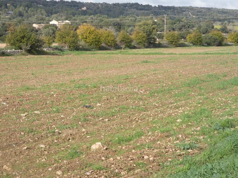 Foto 538af7ff-9e8b-413f-9c51-6bfe85e869cc. Masia amb xemeneia a Manacor centre Manacor