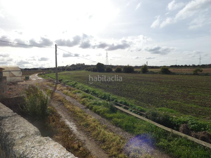 Foto 58e2760a-ca33-4879-8a3a-77d3715ac378. Masia amb xemeneia a Manacor centre Manacor