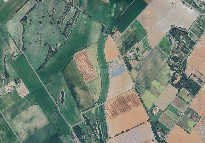 Foto 6fb97c75-c88c-43e8-8270-a1ad1f394956. Masia amb xemeneia a Manacor centre Manacor