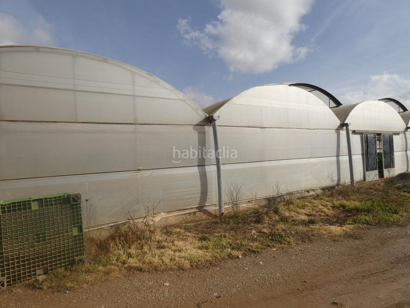 Foto 789c857e-1675-43b0-bfe2-8e444a6a563a. Masia amb xemeneia a Manacor centre Manacor