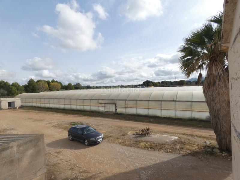 Foto 83594421-95c1-4d4a-9d12-9d54ee3c18c0. Masia amb xemeneia a Manacor centre Manacor