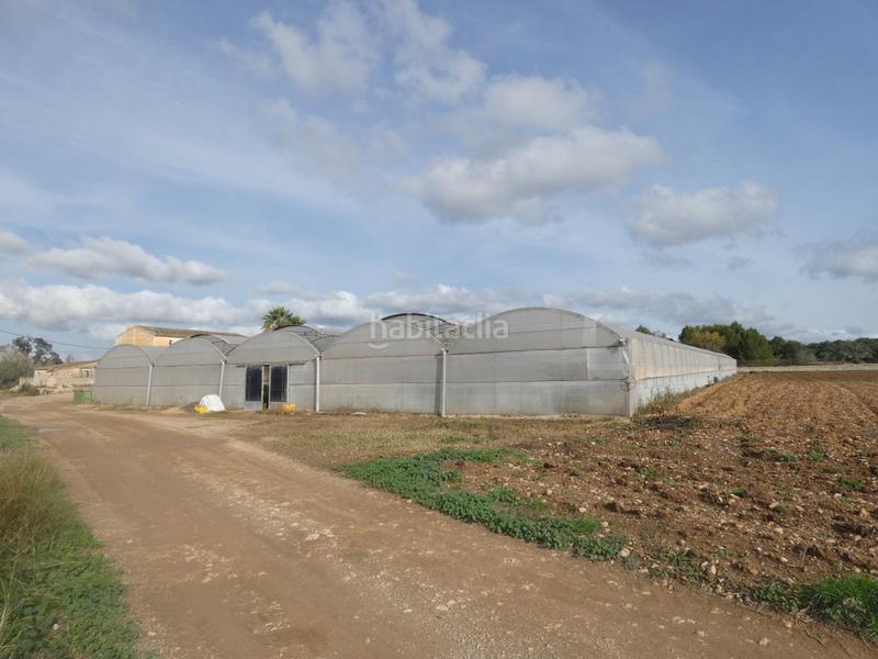 Foto bcf5a802-ddce-417c-aecb-3ba59df3f456. Masia amb xemeneia a Manacor centre Manacor