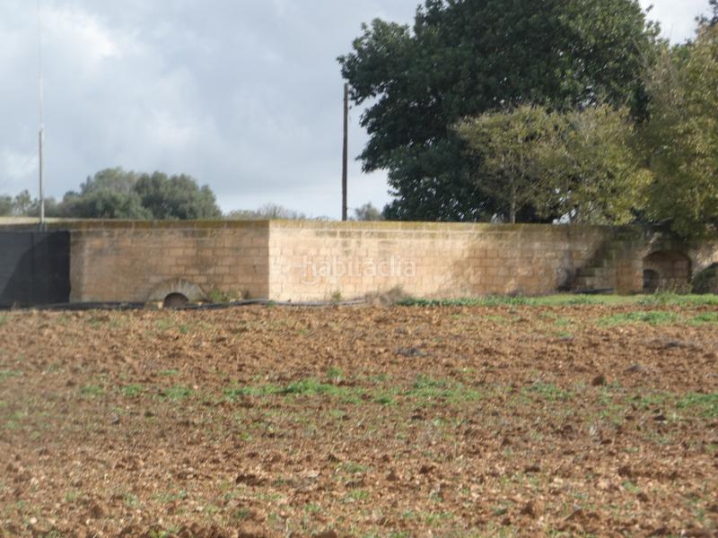 Foto bfed16c5-8518-4bd1-897d-c7b7a51aab27. Masia amb xemeneia a Manacor centre Manacor