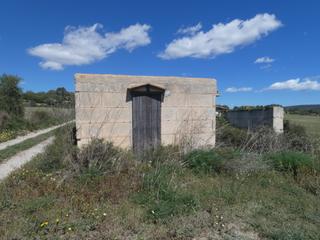 Finca rústica a Manacor Centre. Finca rústica edificable en manacor.