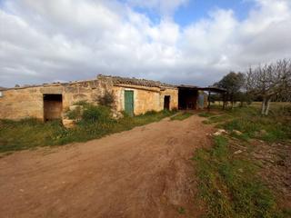 Masía en Llubí. Finca rústica con edificaciones en llubí.