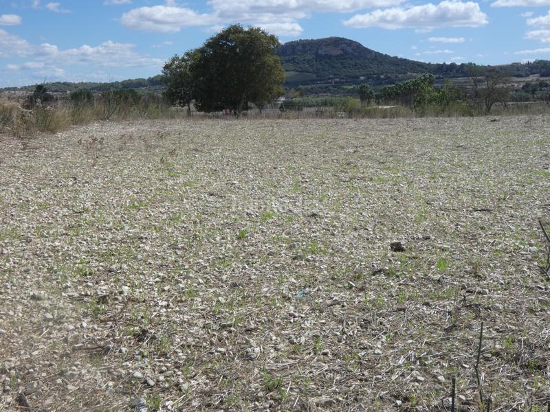 Foto 2bbb47ce-3458-4d93-ab13-2ea1fbf4bbe2. Terreny residencial a Sineu