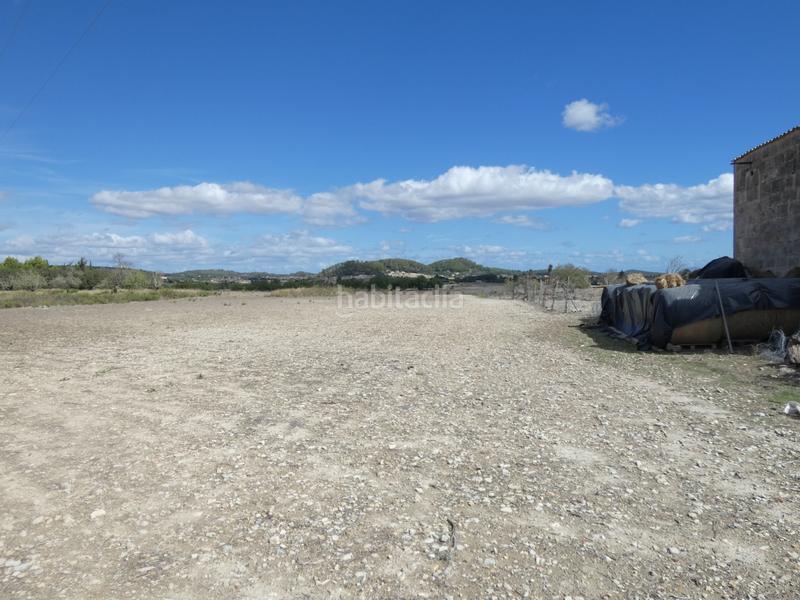 Foto 557fd8be-b289-4c95-b940-a26ea29e244b. Terreny residencial a Sineu