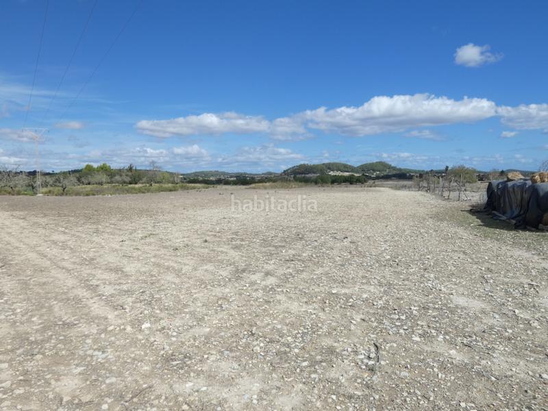 Foto 5cee6758-0697-4bf0-93bf-b8290b4aa272. Terreny residencial a Sineu