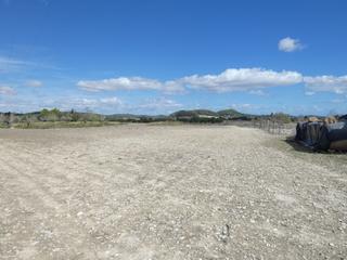 Residential Plot in Sineu. Finca edificable en  sineu.