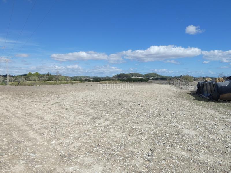 Foto ba0f8e93-fd5d-49e8-a51a-a3d7977f1055. Terreny residencial a Sineu
