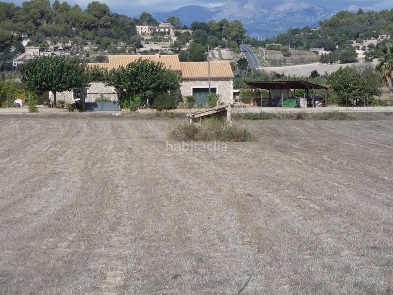 Foto bdda788b-fa2a-4bed-94d7-b372b5c94195. Terreny residencial a Sineu
