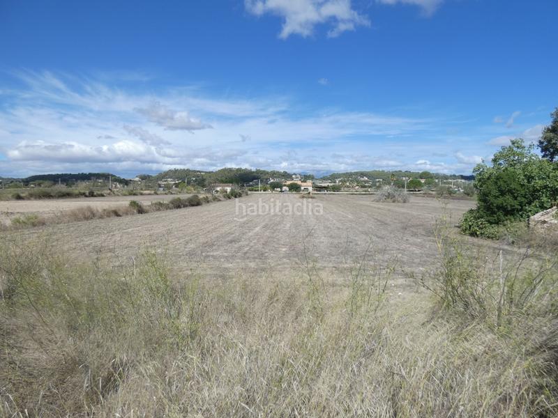 Foto dd7a47ca-39aa-4716-b5d1-75512239229c. Terreny residencial a Sineu