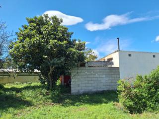 Propriété à Manacor Centre. Finca rústica con dos casetas y agua en manacor.