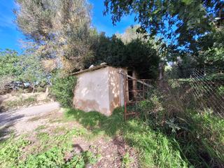 Propriété à Manacor Centre. Finca rústica en son macià con caseta.