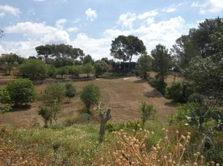 Residential Plot in Maria de la Salut. Espectacular finca rústica con edificación.