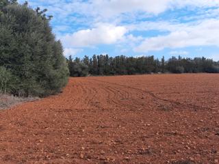 Finca rústica a Manacor Centre. Finca rústica con pozo de agua, manacor.