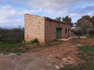 Terreny residencial a Sant Jordi. Finca rústica edificable en palma.