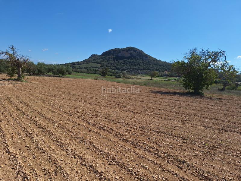 Foto 30b872e6-e239-43fa-bcb1-9e5b6d115e7f. Finca rústica a Sant Joan
