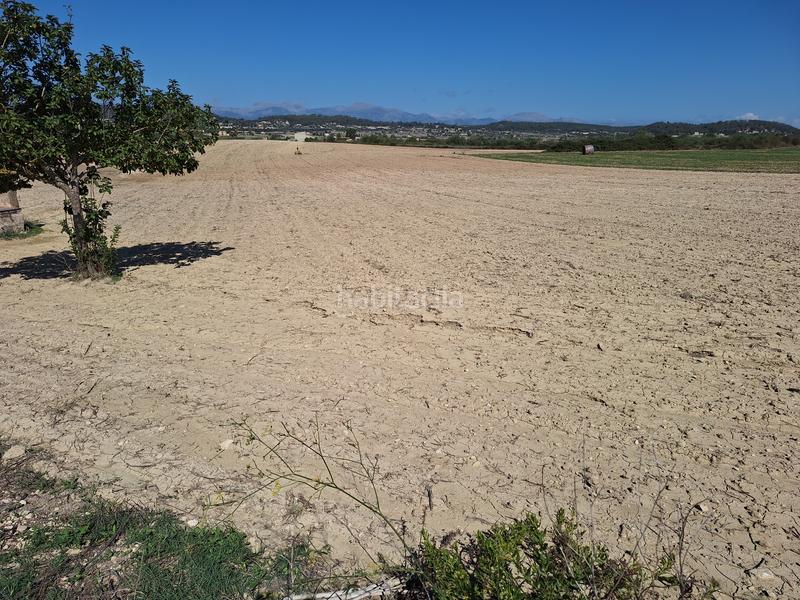 Foto 40b4f1c4-e125-4054-b320-b0274dbb2175. Finca rústica a Sant Joan