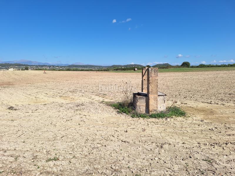 Foto 4ae2c381-4de9-4463-8982-510745a54b2e. Finca rústica a Sant Joan