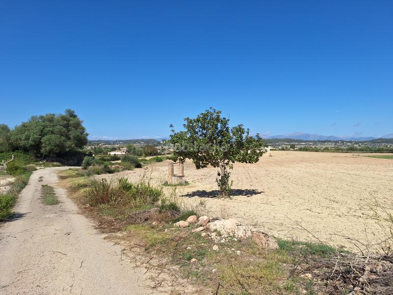 Foto dc553d93-7acb-406c-bd8b-06767539086b. Finca rústica a Sant Joan