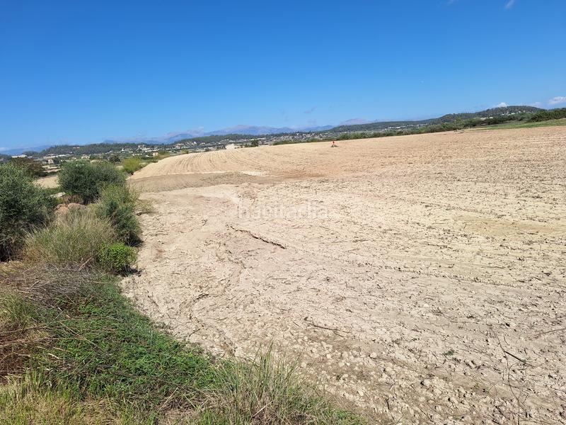 Foto f023774b-1ead-4f46-aeb4-0dc7f55f13ea. Finca rústica a Sant Joan