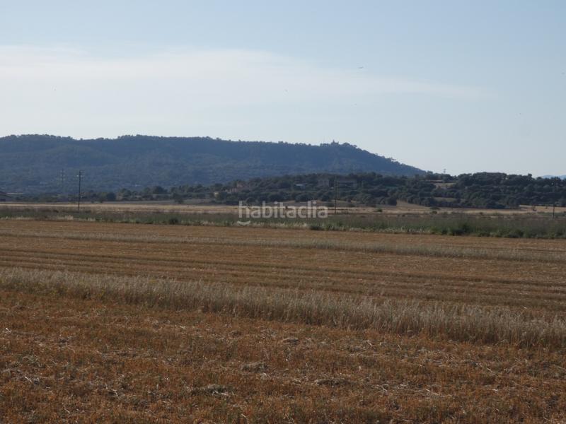Foto 0bc44243-0684-46af-a9a7-3a6995b20fcc. Propriété dans Vilafranca de Bonany