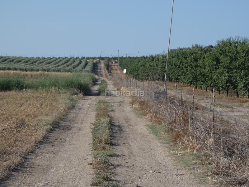 Foto 44240540-42d8-4851-bbb9-78fff107aee6. Propriété dans Vilafranca de Bonany