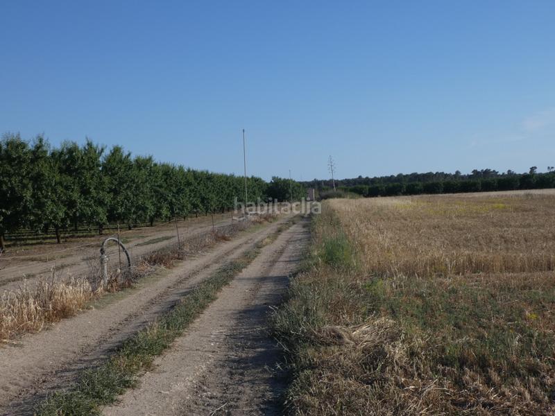 Foto ce5ecaf2-2b67-4703-b1fb-61a1278b0a29. Propriété dans Vilafranca de Bonany