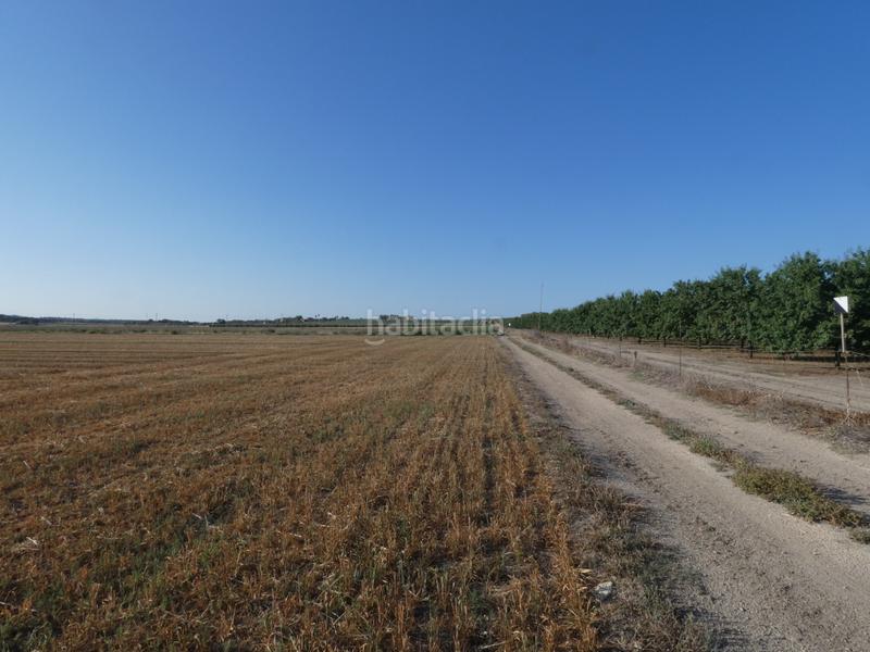 Foto da2bcbb1-16d6-4091-8145-3bd3d82128fa. Propriété dans Vilafranca de Bonany