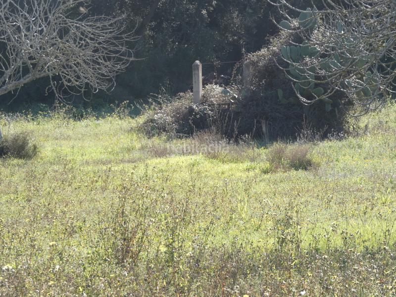 Foto 57220312-4f7a-450c-833d-cbc4e3b291a7. Wohngrundstück in Sineu