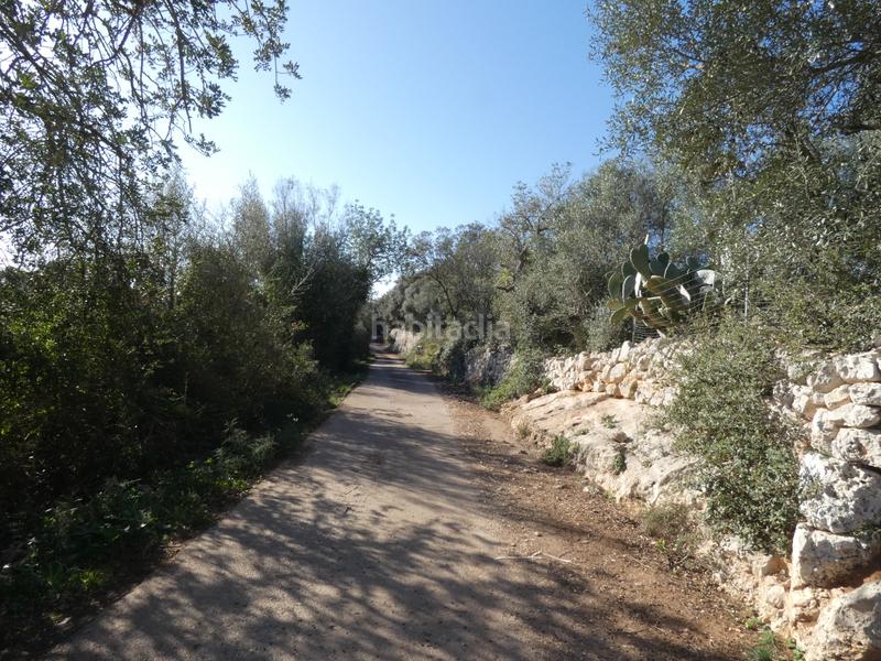 Foto 73e080db-ddc1-4bb2-9e1c-d6764329ee98. Wohngrundstück in Sineu