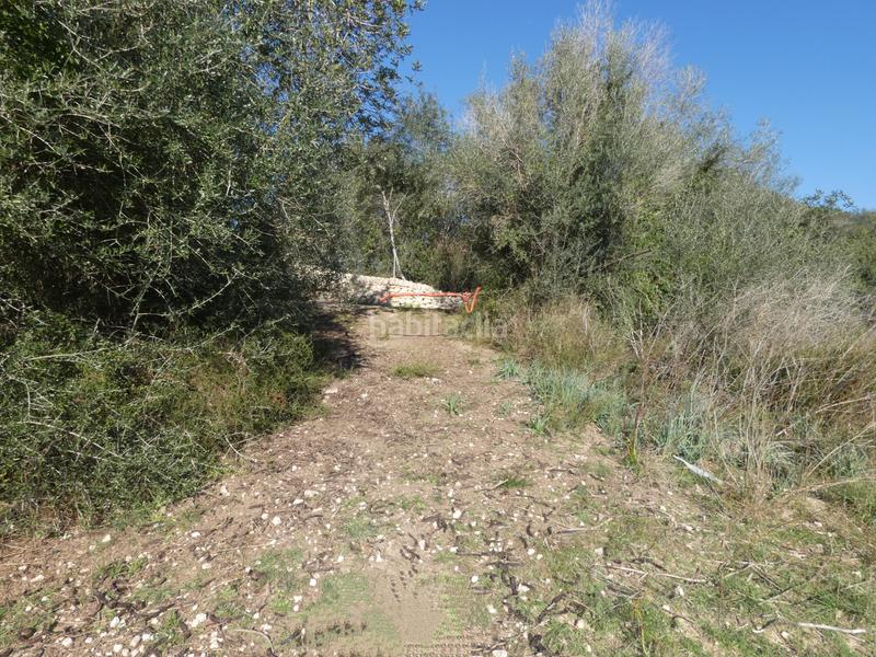 Foto 801df5d7-f400-4b61-bc33-d33706707722. Wohngrundstück in Sineu