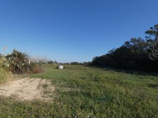 Terreny residencial a Sineu. Finca rustica con licencia en  sineu.