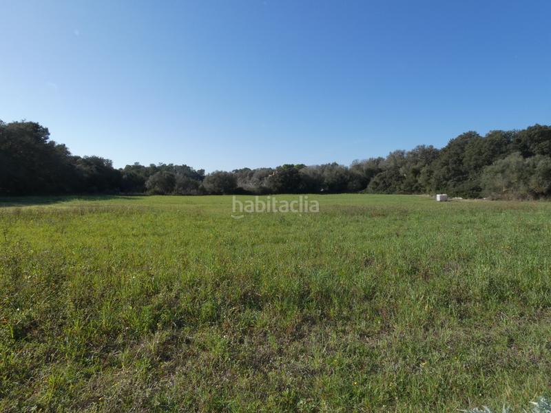 Foto b0a33761-4bde-4949-81b7-9b7d601f2a35. Wohngrundstück in Sineu