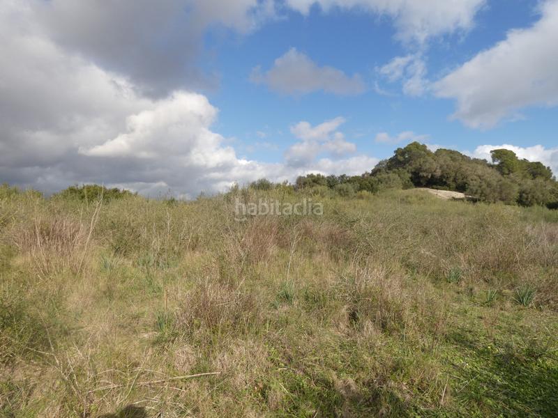 Foto 2b2683fe-5c40-4990-a227-74458492b0c8. Propriété dans Muro