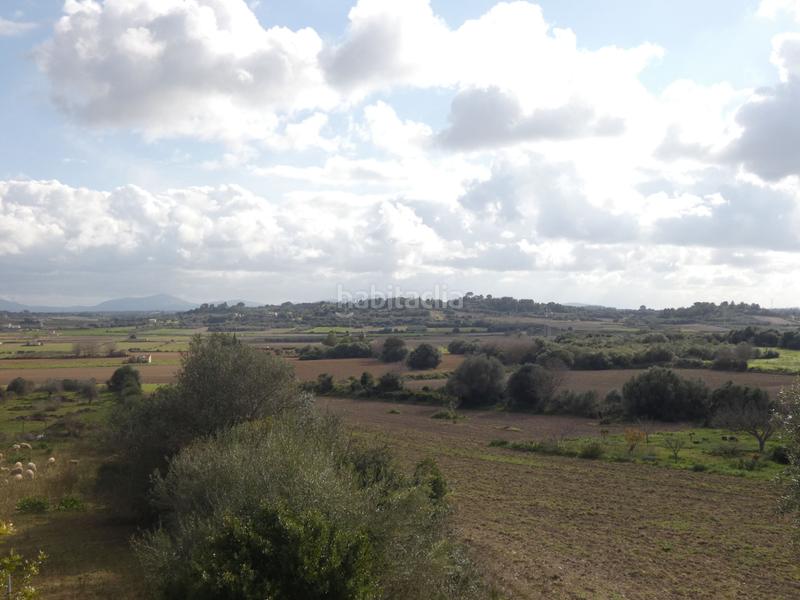 Foto 55e6a772-5e45-4039-9108-1e52c9dcade6. Propriété dans Muro