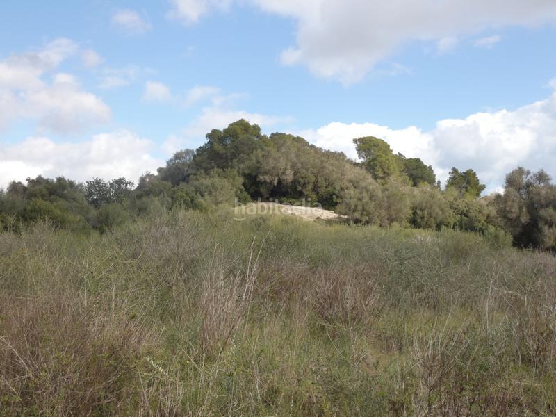 Foto 67a94871-5997-454b-8811-97078232740e. Propriété dans Muro