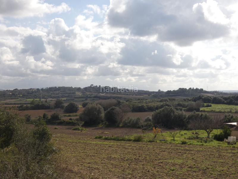 Foto 6f614dda-f301-4b71-837b-59b3b269ffae. Propriété dans Muro