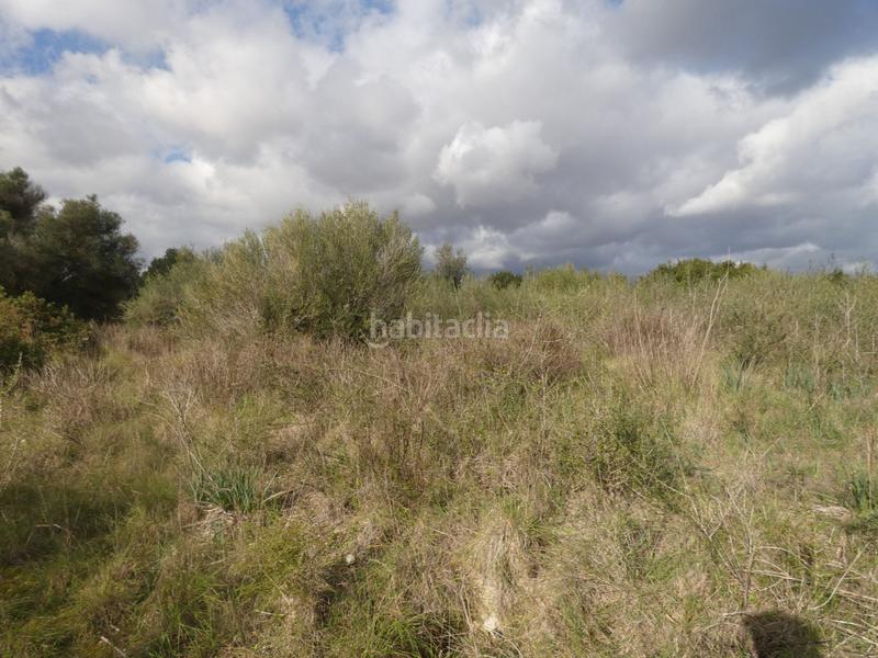 Foto b681ac80-1f84-4043-b3a3-4f7e1a881b99. Propriété dans Muro