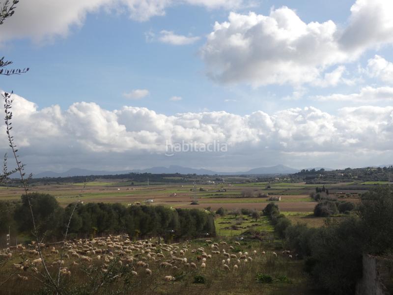 Foto ff350180-c986-44a6-aa52-2816794d2f90. Propriété dans Muro