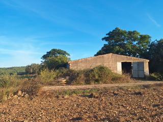 Fabrikhalle in Manacor Centre. Nave en venta, manacor